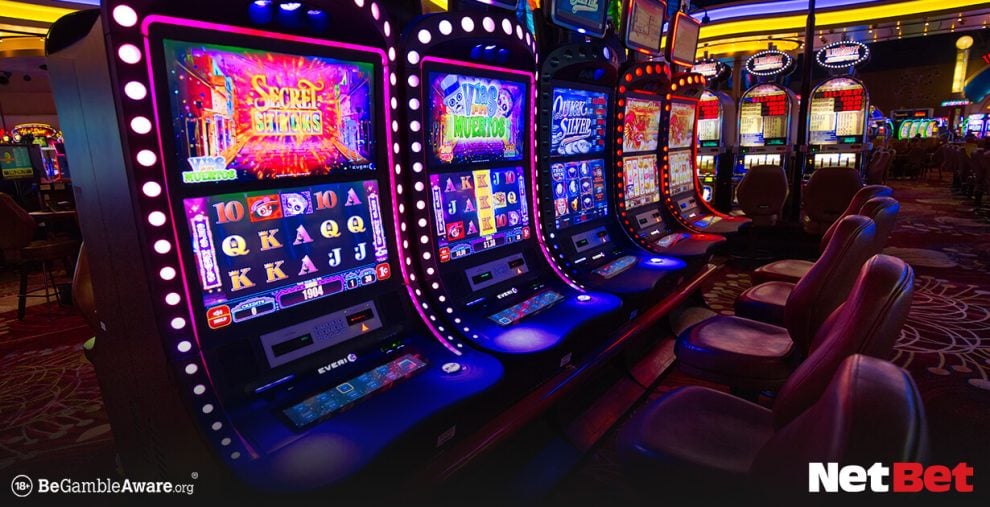 yyyboi|Bingo Online – Descubra Agora no Apostas Online